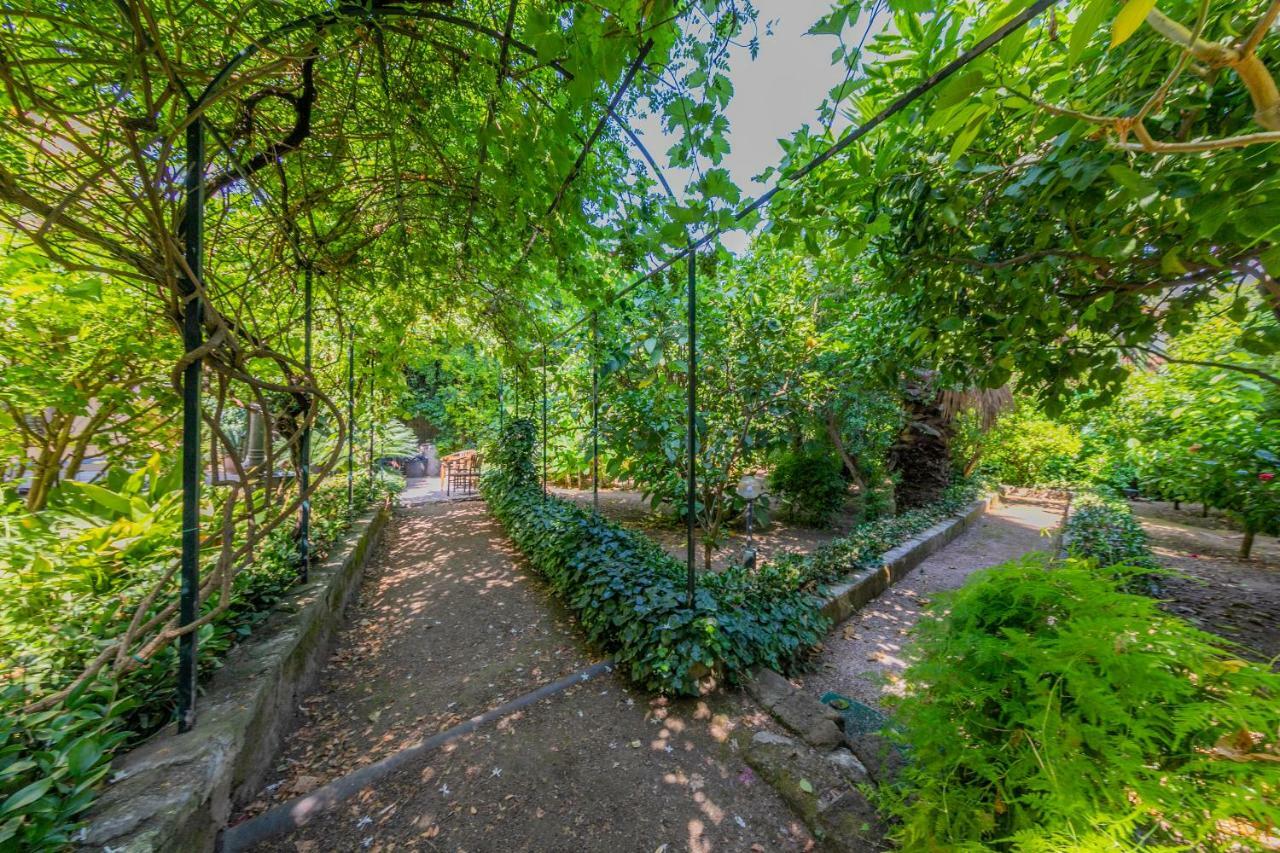 Villa Mezzarancia ปาแลร์โม ภายนอก รูปภาพ