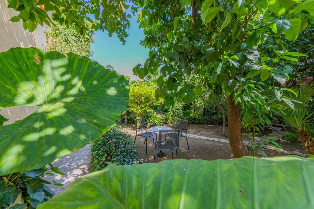Villa Mezzarancia ปาแลร์โม ภายนอก รูปภาพ